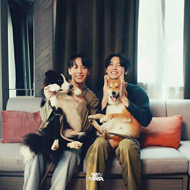 yinwar with their dogs